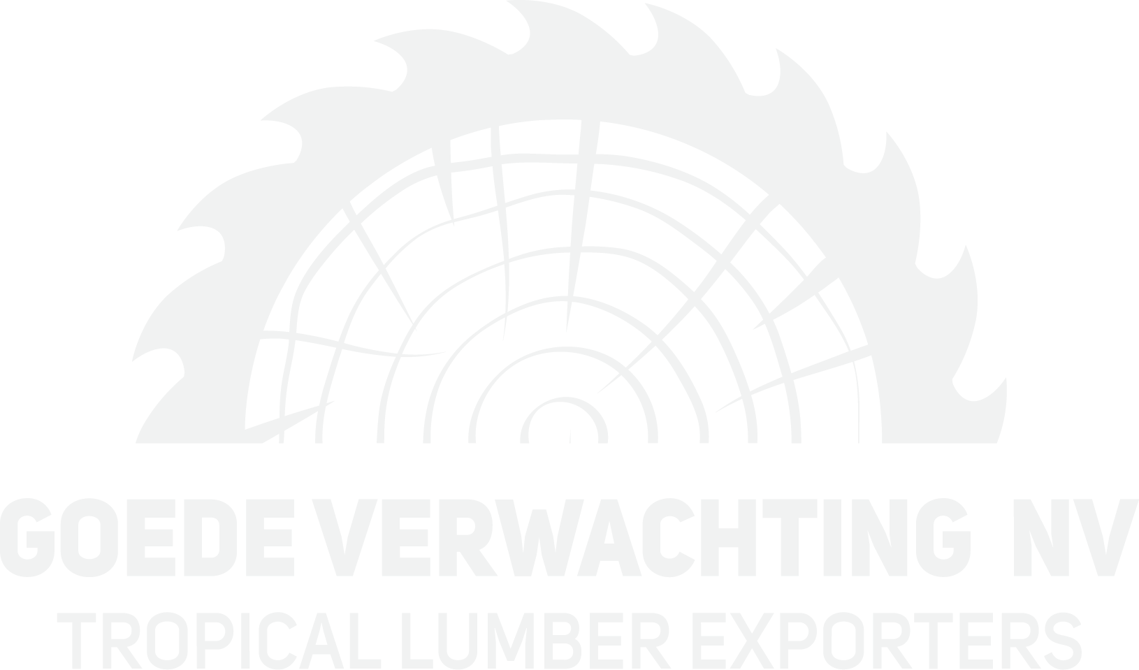 Goede Verwachting NV